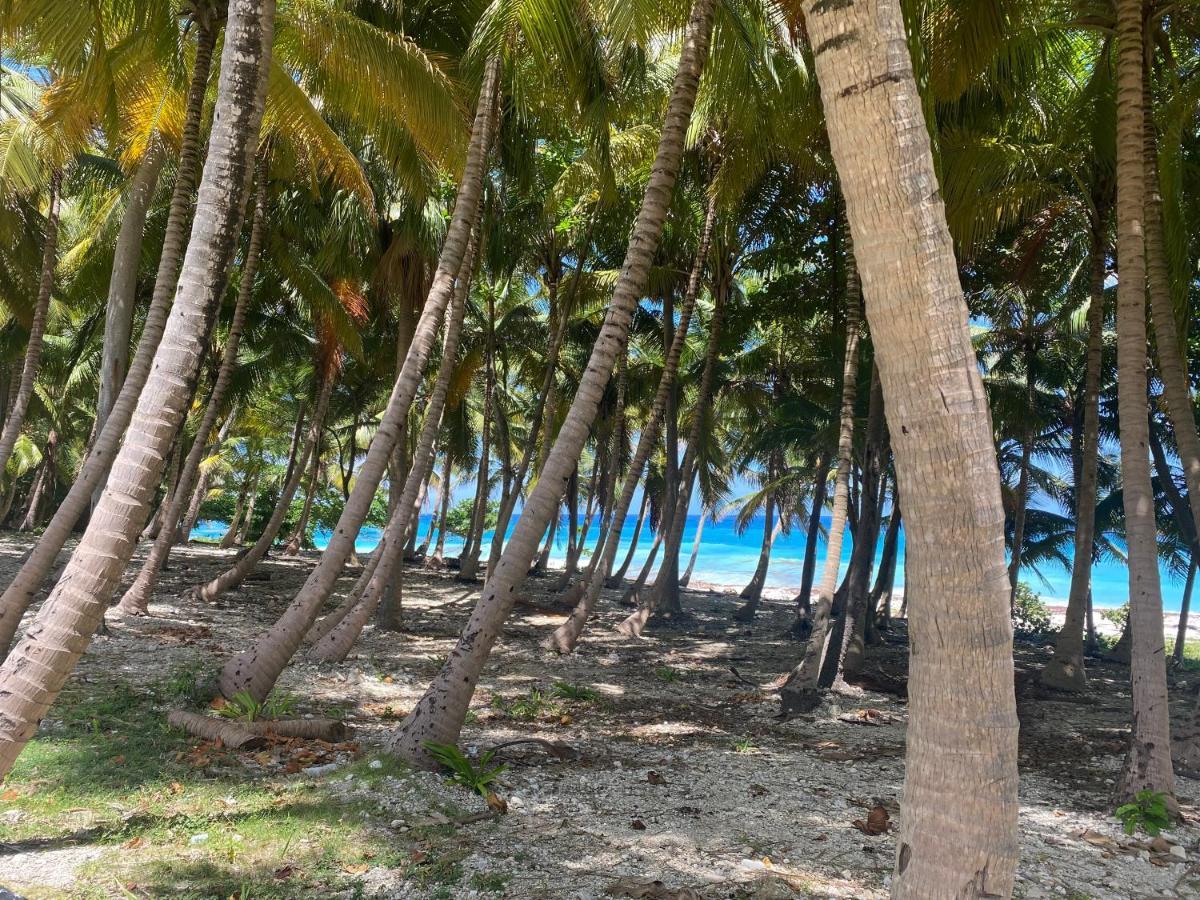 Beachfront Apartment, Quiet 4 Beds, 1 Bath, Ac, Wi-Fi, Hot Water, In Paraiso Near Los Patos Екстериор снимка