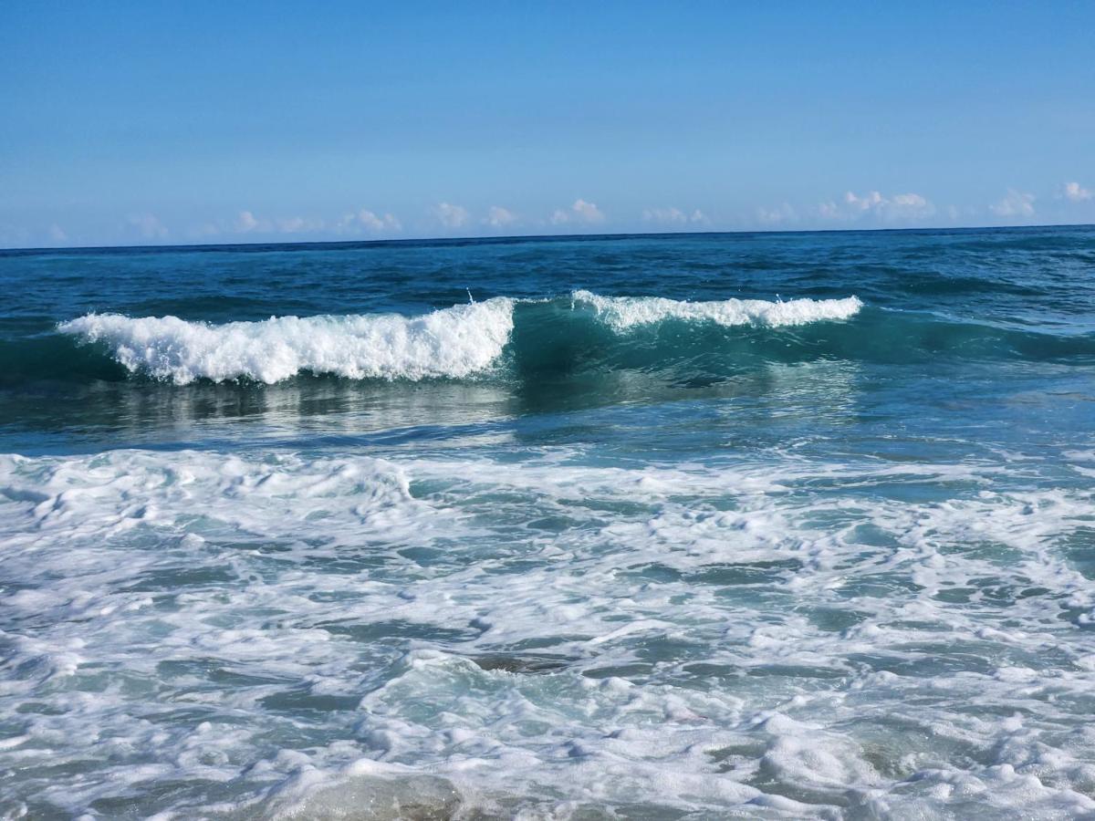 Beachfront Apartment, Quiet 4 Beds, 1 Bath, Ac, Wi-Fi, Hot Water, In Paraiso Near Los Patos Екстериор снимка